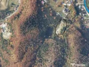 Teren 550 mp Dambul Morii 