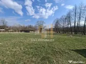 Teren intravilan Tohanita Bran-Zarmesti Brasov 