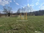 Teren intravilan Tohanita Bran-Zarmesti Brasov 