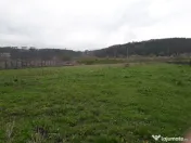 Teren Intravilan Intrare Scheia - Suceava 