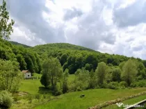 Teren 965mp investiție Măieruș – PUZ Aprobat | COMISION 0%