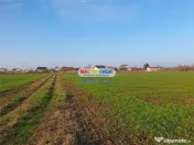 Teren intravilan Crevedia-Manastirea 