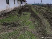Vând construcție solida/grajd 
