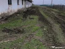 Vând construcție solida/grajd