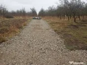 De vânzare terenuri intravilane în Sfântu Gheorghe 