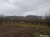 De vânzare terenuri intravilane în Sfântu Gheorghe 