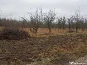 De vânzare terenuri intravilane în Sfântu Gheorghe 