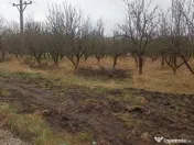 De vânzare terenuri intravilane în Sfântu Gheorghe 