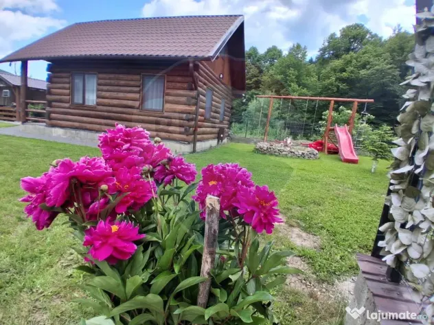 Refugiu în natură, Cătrușa Covasna – cabană cu pot...