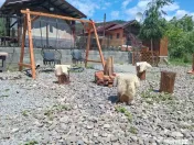 Refugiu în natură, Cătrușa Covasna – cabană cu pot... 