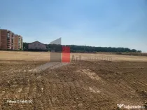 Teren Intravilan Matei Milo