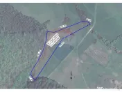 Teren intravilan, 9465 mp, Betfia, lângă pădure, de v?... 
