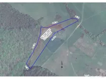 Teren intravilan, 9465 mp, Betfia, lângă pădure, de v?...