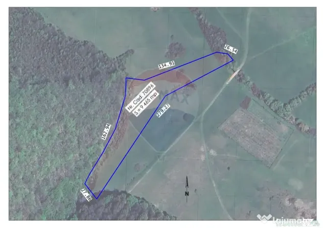 Teren intravilan, 9465 mp, Betfia, lângă pădure, de v?...