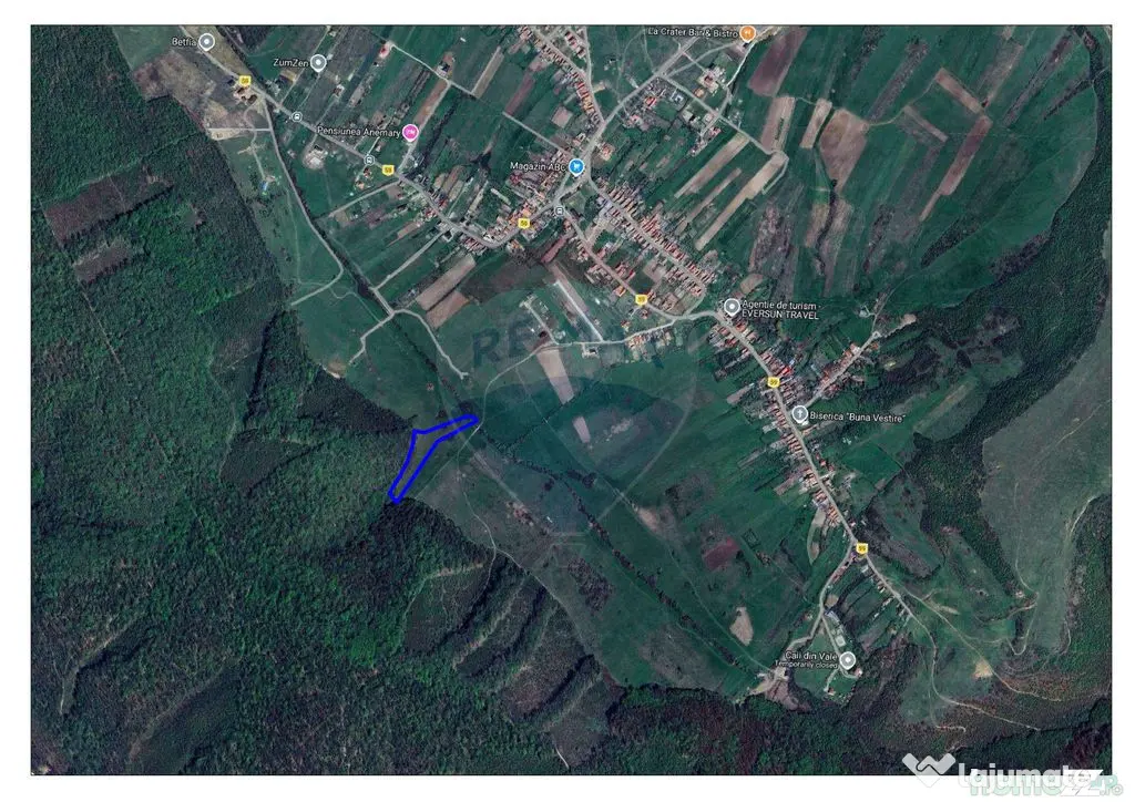 Teren intravilan, 9465 mp, Betfia, lângă pădure, de v?...