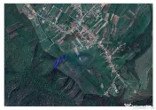 Teren intravilan, 9465 mp, Betfia, lângă pădure, de v?...