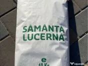Sămânță de lucernă