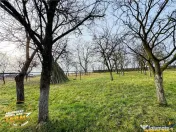 FILM! Oaza ta de liniste pe 0.5ha teren intravilan, Dalnic, 