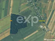 20 Ha Padure stejar la 10 km de Pitești 