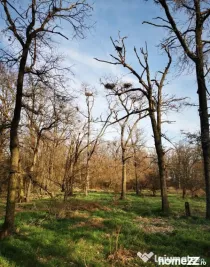 20 Ha Padure stejar la 10 km de Pitești