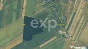 20 Ha Padure stejar la 10 km de Pitești