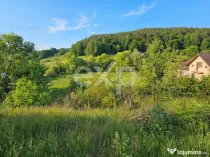 Teren 7,797mp Podis / Calea Moinesti