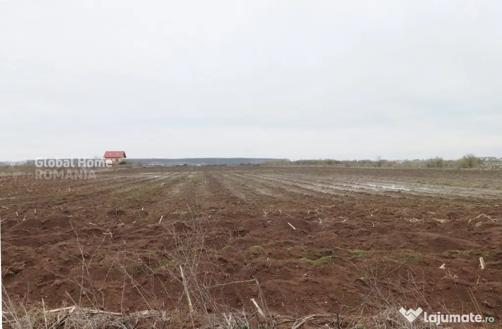 Teren 4000 mp lângă Pădurea Petrești | Investiție dezvo