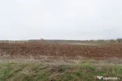 Teren 4000 mp lângă Pădurea Petrești | Investiție dezvo 