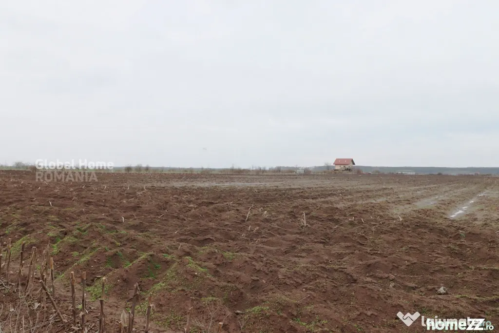 Teren 4000 mp lângă Pădurea Petrești | Investiție dezvo