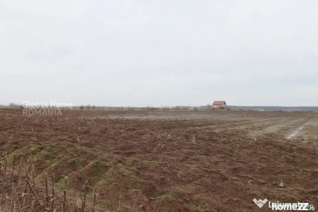 Teren 4000 mp lângă Pădurea Petrești | Investiție dezvo