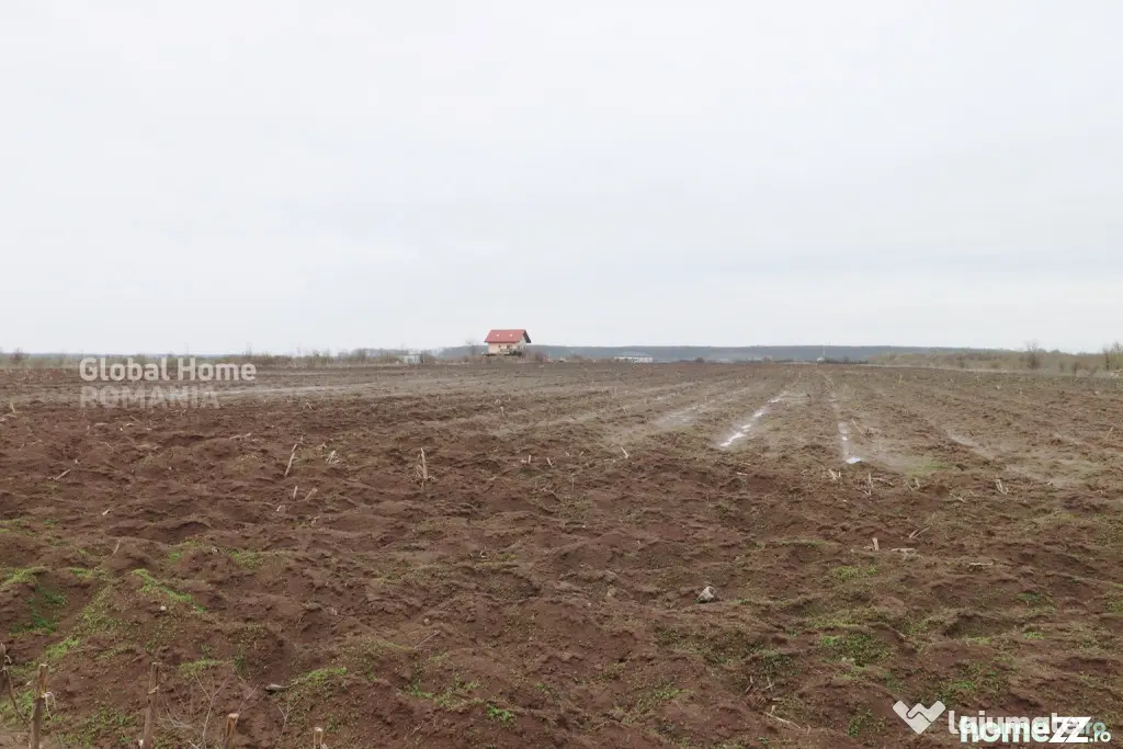 Teren 4000 mp lângă Pădurea Petrești | Investiție dezvo