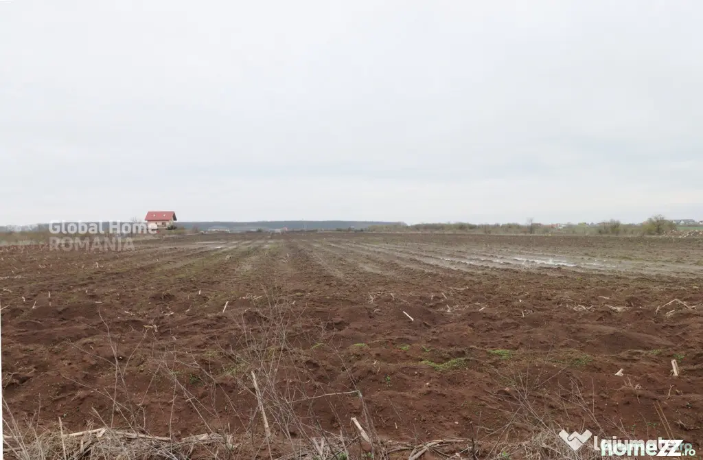 Teren 4000 mp lângă Pădurea Petrești | Investiție dezvo