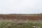 Teren 4000 mp lângă Pădurea Petrești | Investiție dezvo