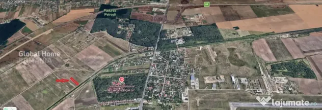 Teren 4000 mp lângă Pădurea Petrești | Investiție dezvo