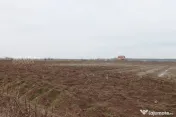 Teren 4000 mp lângă Pădurea Petrești | Investiție dezvo 