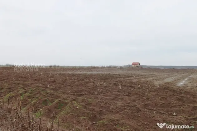 Teren 4000 mp lângă Pădurea Petrești | Investiție dezvo