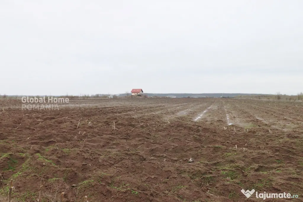 Teren 4000 mp lângă Pădurea Petrești | Investiție dezvo