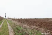 Teren 4000 mp lângă Pădurea Petrești | Investiție dezvo 
