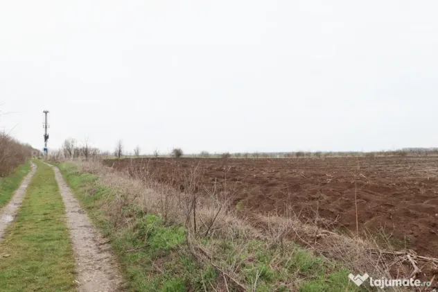 Teren 4000 mp lângă Pădurea Petrești | Investiție dezvo