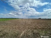 TEREN INTRAVILAN\\ZONA SPITALUL JUDETEAN PLOIESTI 