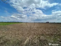 TEREN INTRAVILAN\\ZONA SPITALUL JUDETEAN PLOIESTI