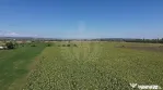 TEREN INTRAVILAN\\ZONA SPITALUL JUDETEAN PLOIESTI