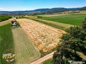 FILM! Teren extravilan, Valea Crisului, Covasna 