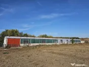 Hala industriala (1000 mp) si teren (4000 mp), Scornicesti, 