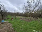 Casa de renovat cu teren 2570 mp in loc. Teiu jud. Arges 