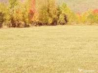 Vand teren extravilan 11400 mp 