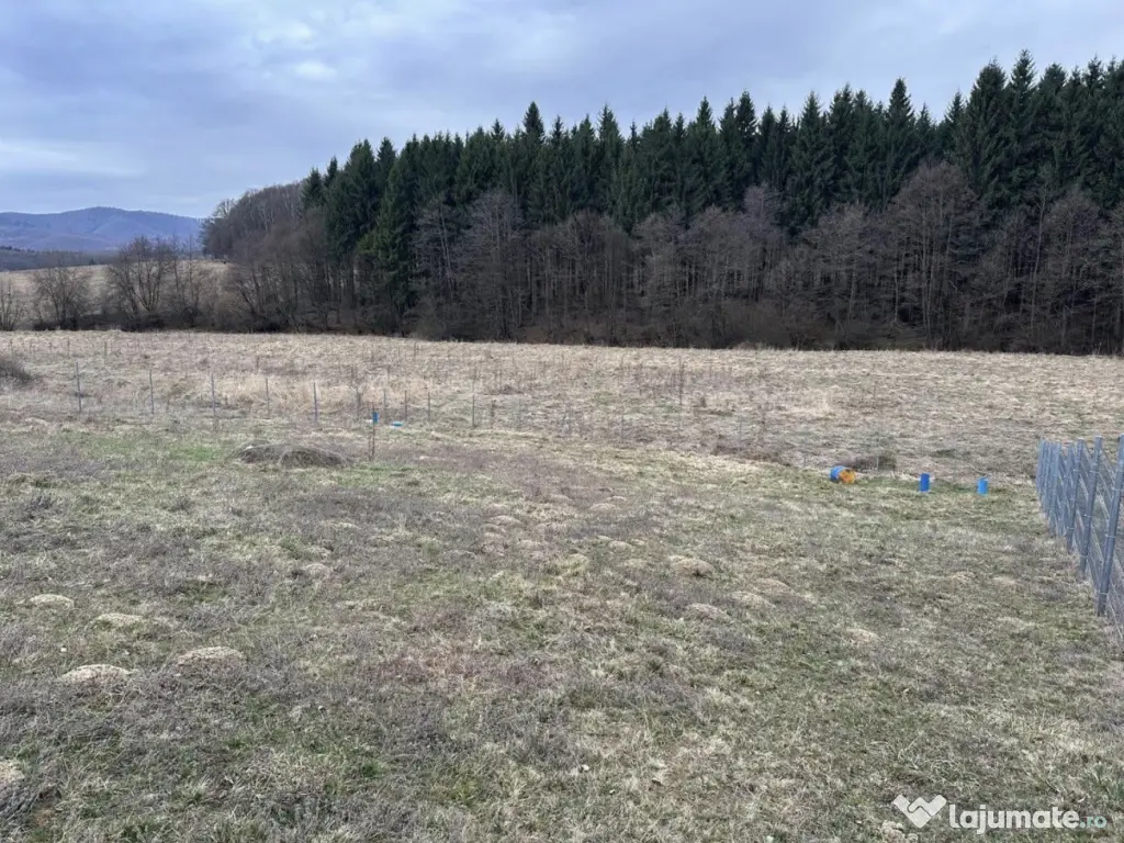 Teren de vânzare 1030m2, intravilan - Jud. Brașov