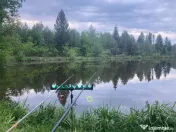 Pensiune - Restaurant - Cabanute - Lac pescuit 