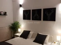 3 Camere Romana - Vasile Lascar 