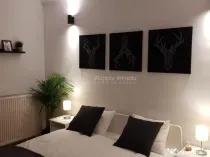 3 Camere Romana - Vasile Lascar